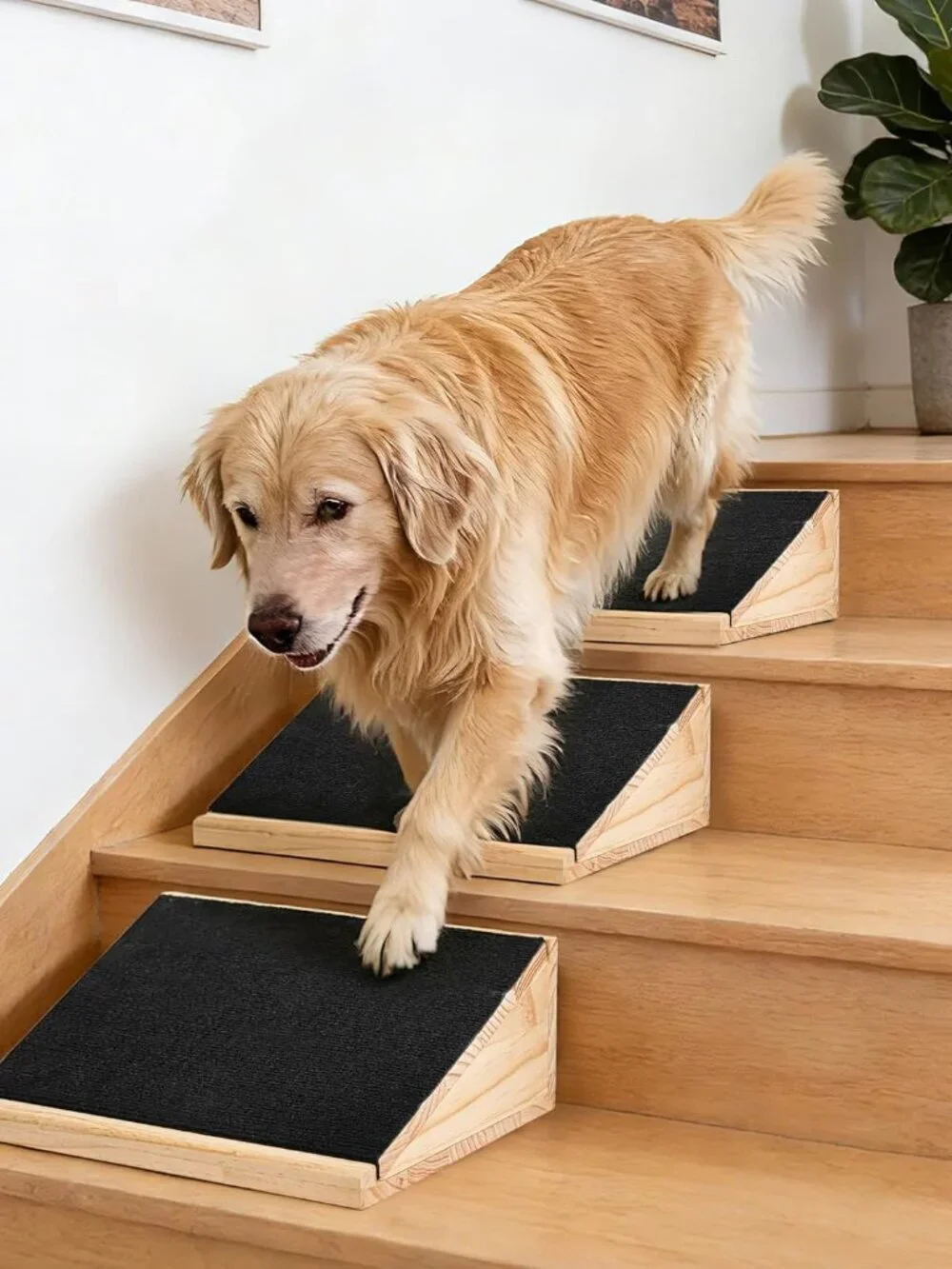 3-Pack Stair Ramp for Senior Dogs